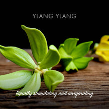 Load image into Gallery viewer, Ylang Ylang Eco Friendly Soap Bar