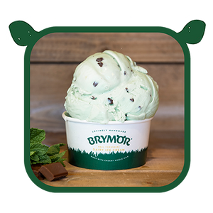 Mint Choc Chip