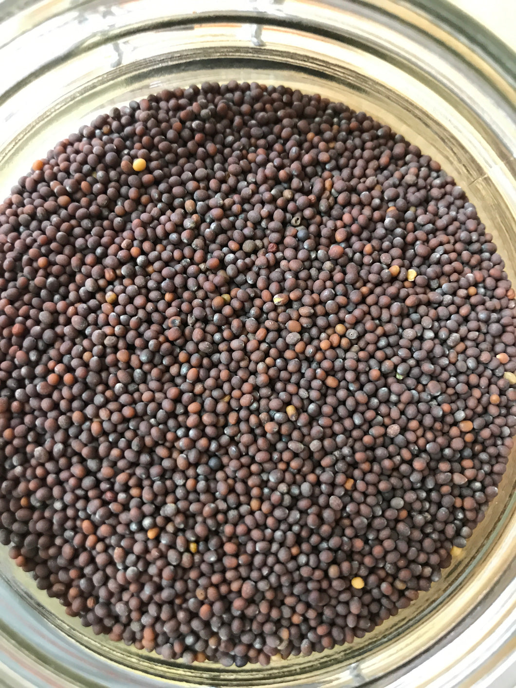 Brown Mustard Seeds