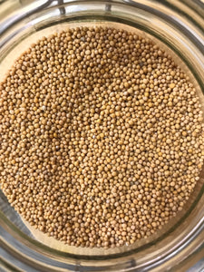 Yellow Mustard Seeds